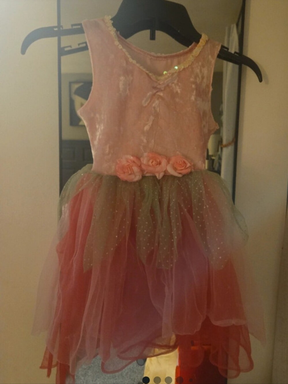 Princess Espressions Pink and Green Princess Fairy Tulle Dress with Rose Waist